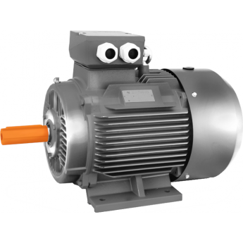 АИР100L6 (АМ100L6) 2,2кВт IM 1081 1000 об./мин. Общепромышленный электродвигатель (на лапах) ELDIN 6,5 79 AIP/AM-100-L6-2,2KBT-IM-1081-1000-OB./MIH.