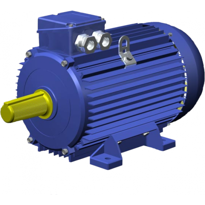 Электродвигатель с короткозамкнутым ротором ELDIN 8 95,4 RA315LB6